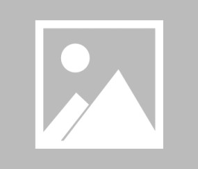 AYX-关于Scout官方宣布锐不可当新规，巴黎圣日耳曼引发争议！的信息