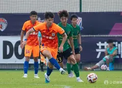 冰球夜战：泰山灰熊队绝杀瓯越貔貅队，速度优势明显赛后更衣室沸腾的简单介绍